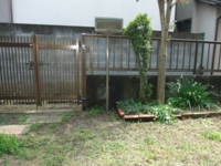 DSCF0006.jpg